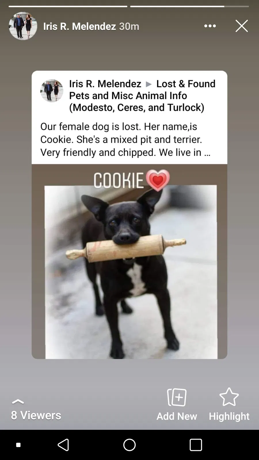 Lost dog in Modesto, CA, 95358