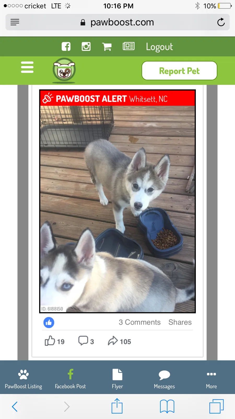 Lost dog in Whitsett, NC, 27377