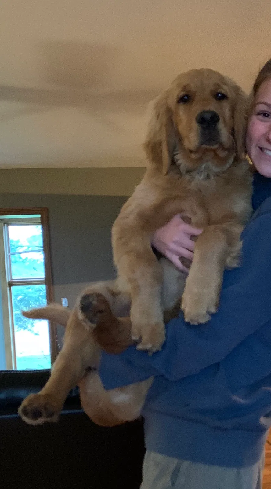 Lost dog in Pawnee, IL, 62558