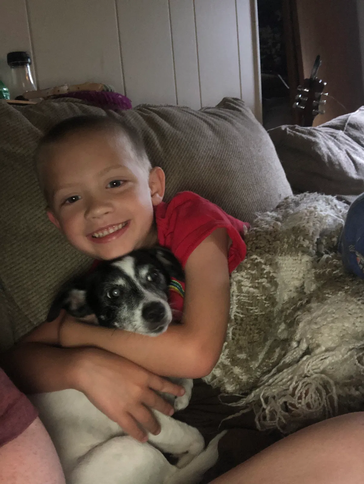 Lost dog in Landrum, SC, 29356