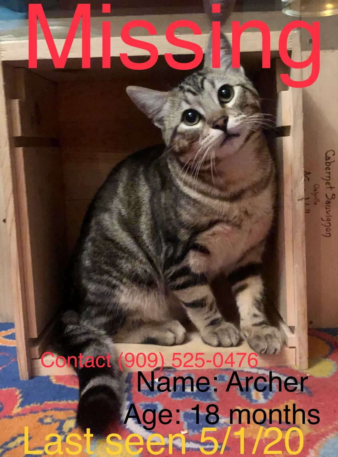 Lost cat in Claremont, CA, 91711