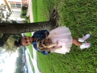 Lost dog in Fresno, TX, 77545