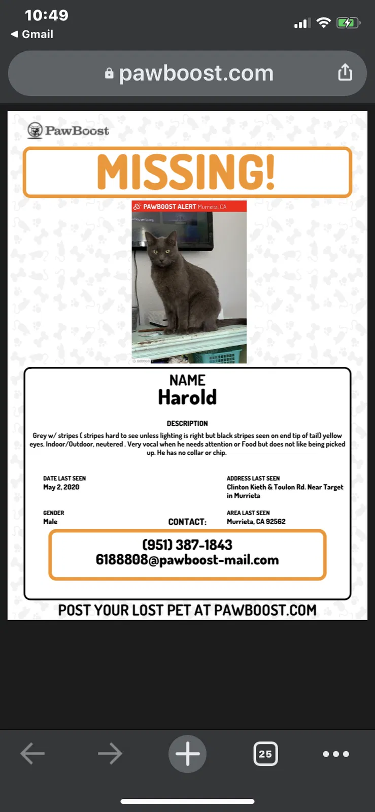 Lost cat in Murrieta, CA, 92562