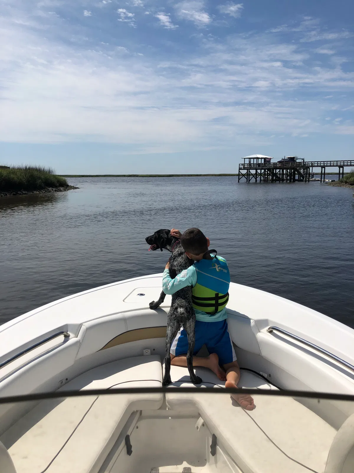 Lost dog in Savannah, GA, 31406
