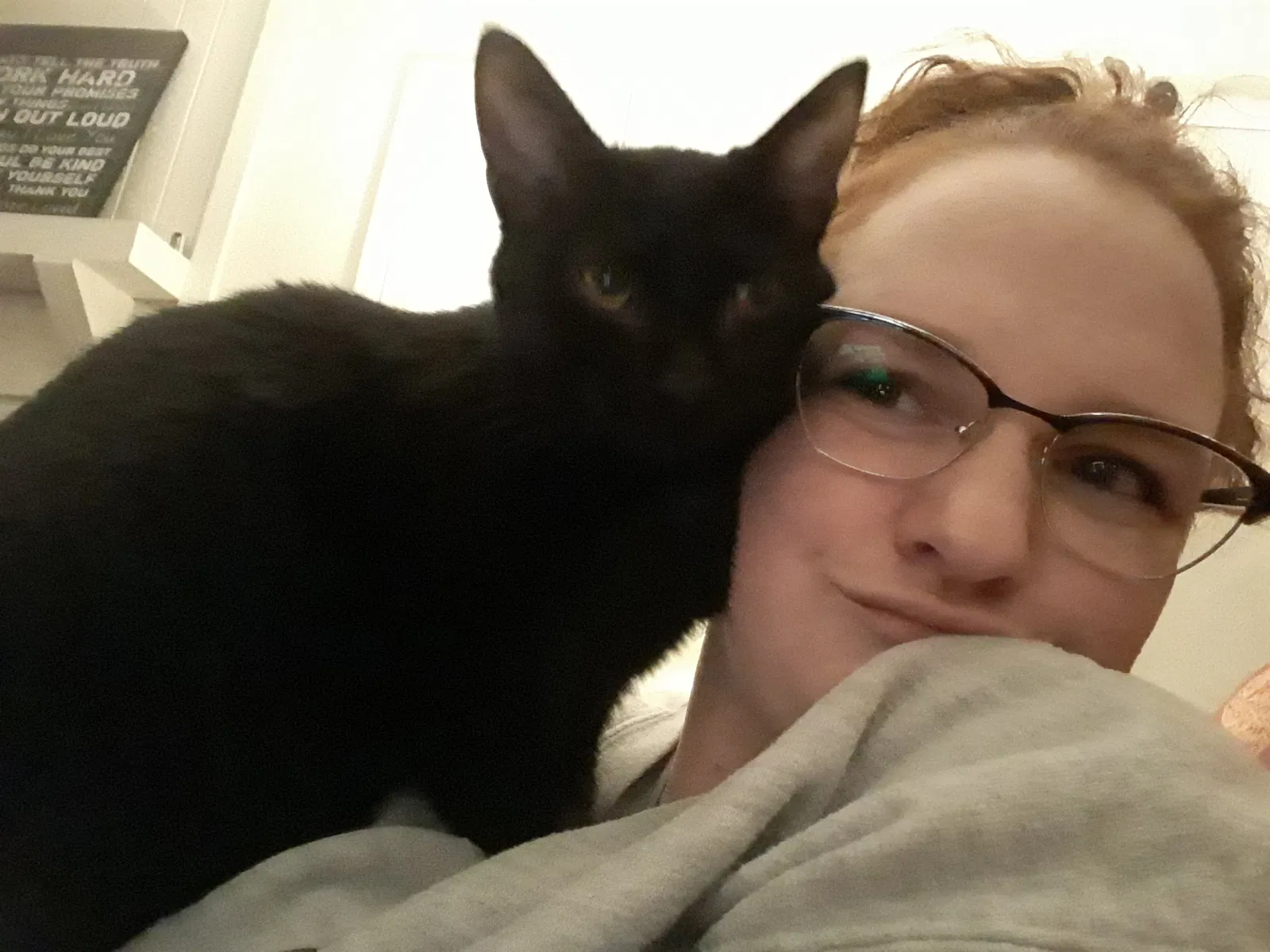 Lost cat in Huntsville, AL, 35803