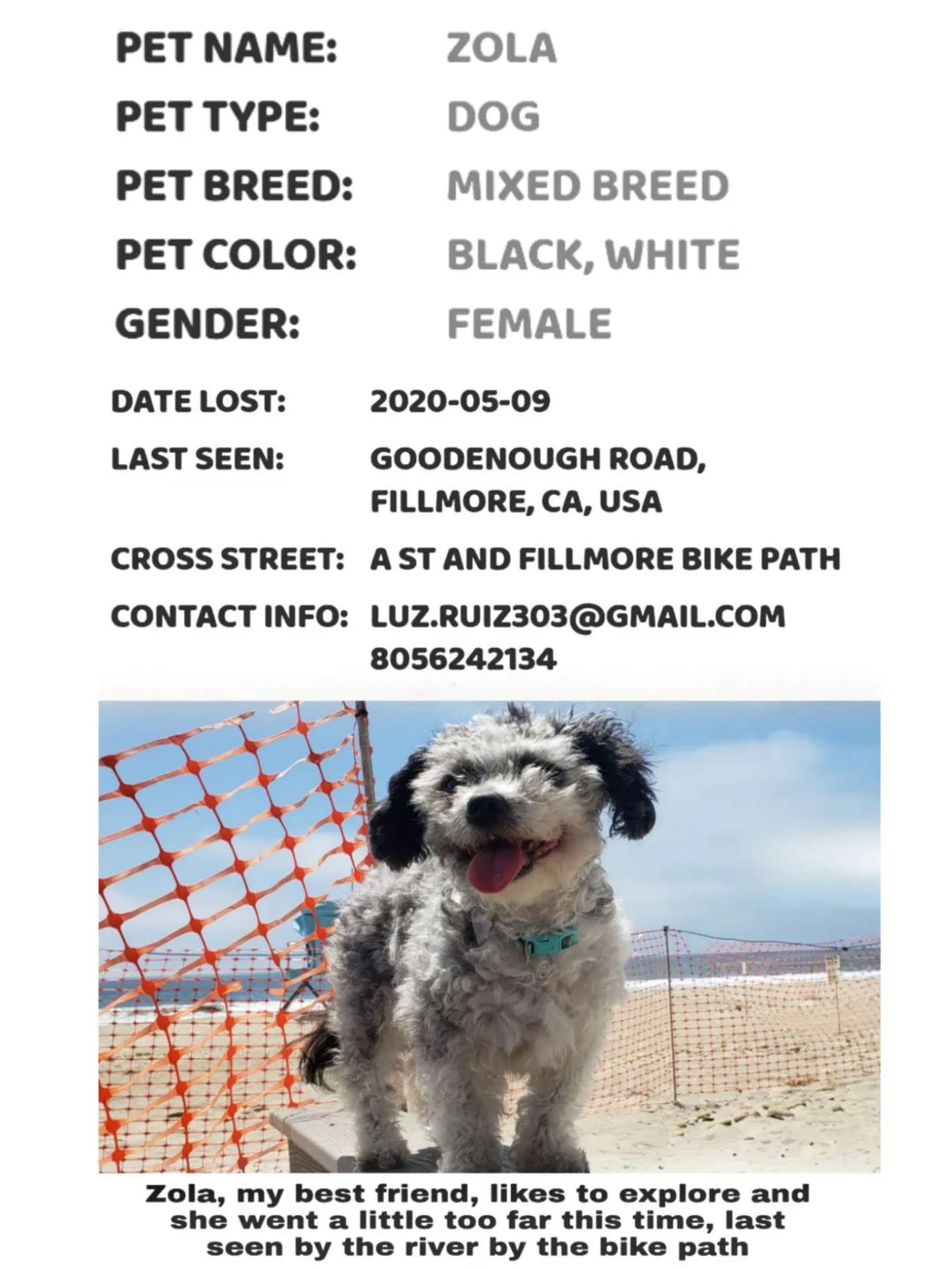 Lost dog in Fillmore, CA, 93015