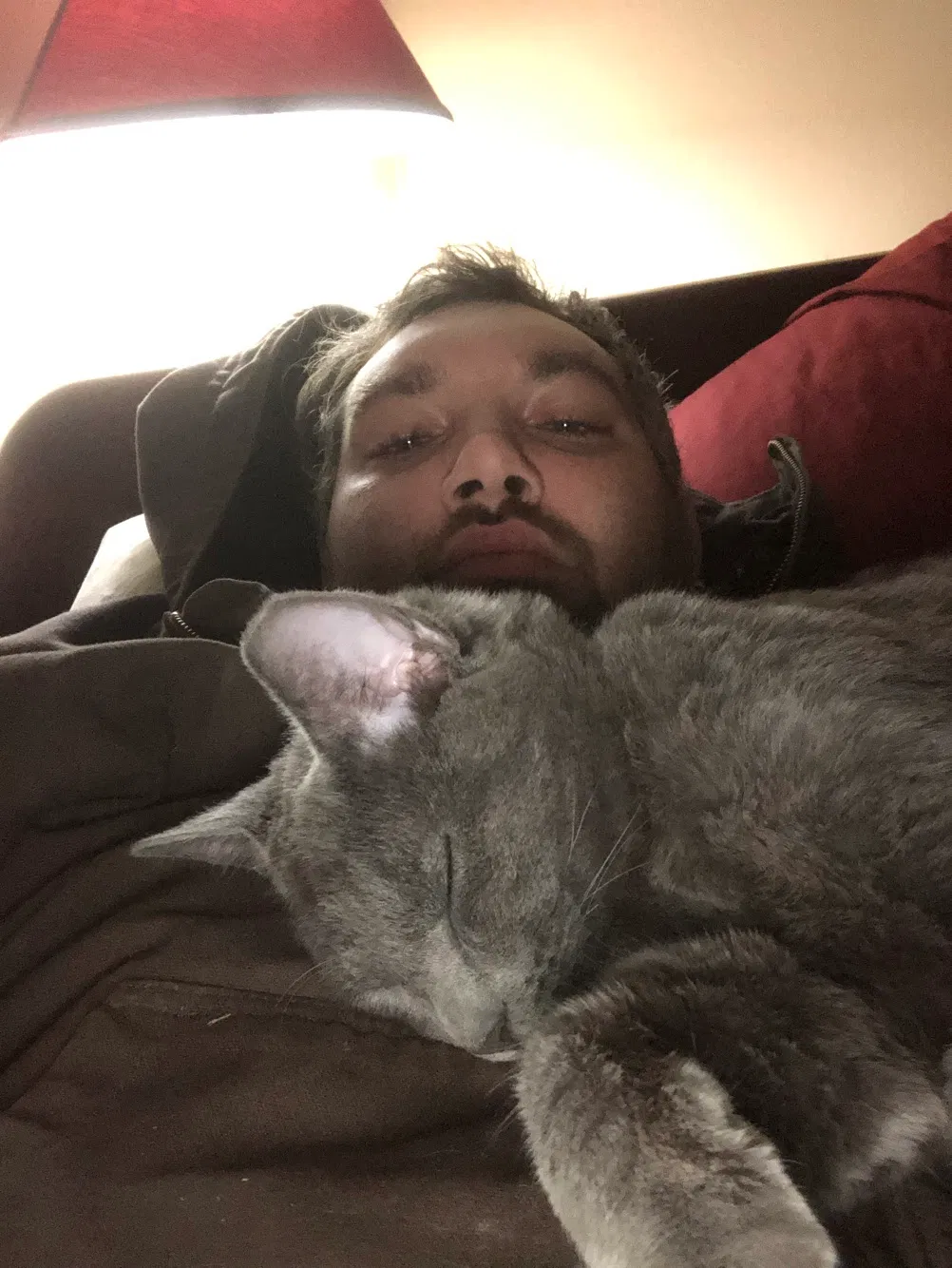 Lost cat in Dayton, OH, 45403
