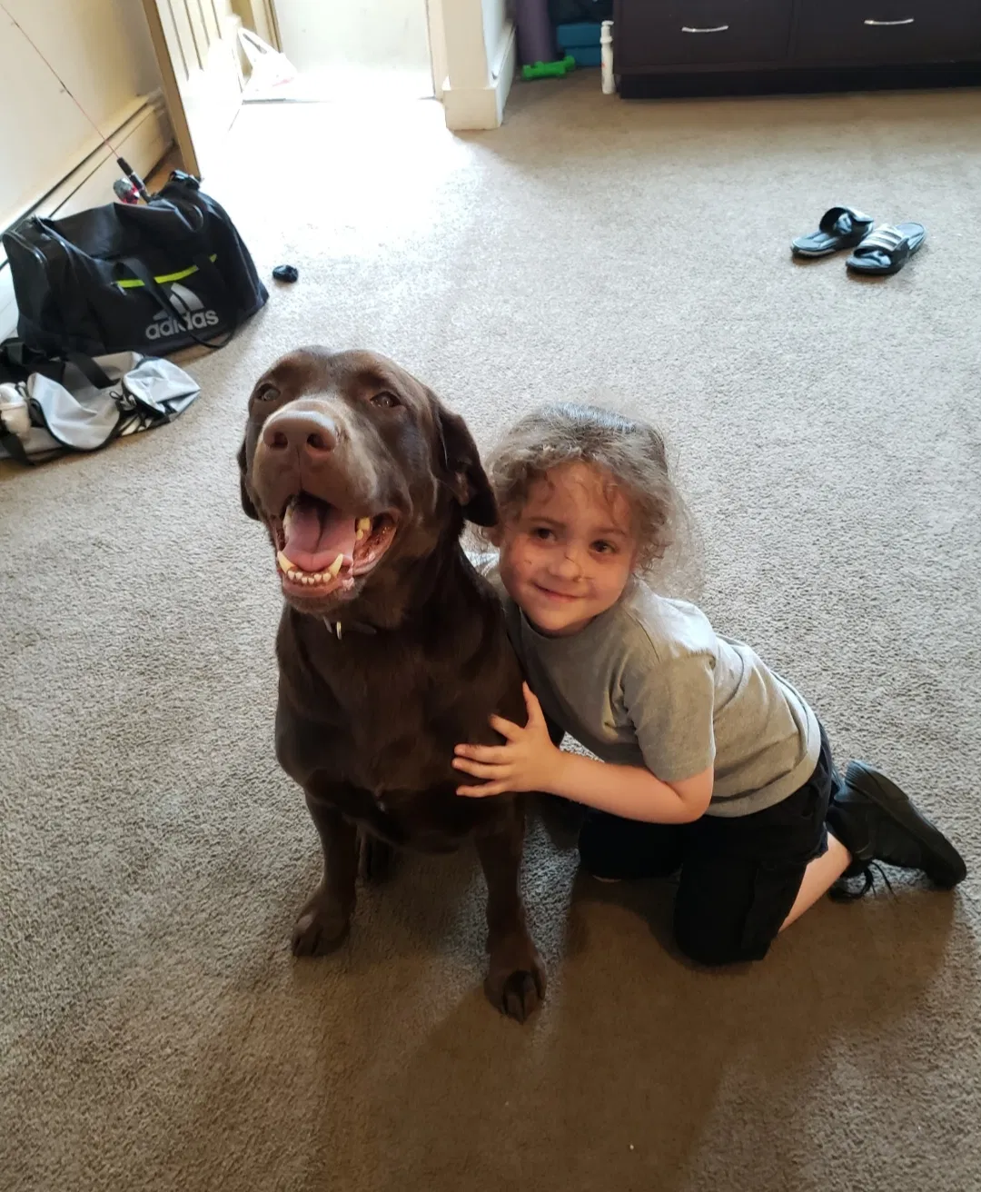 Lost dog in Bethlehem, PA, 18018