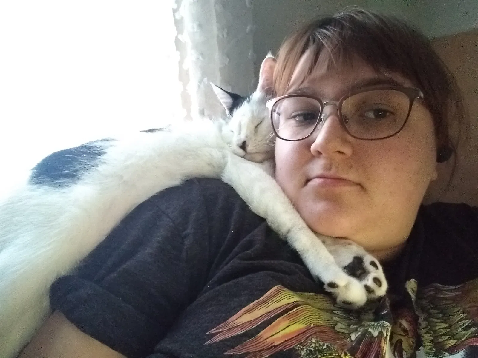 Lost cat in Woodruff, SC, 29388