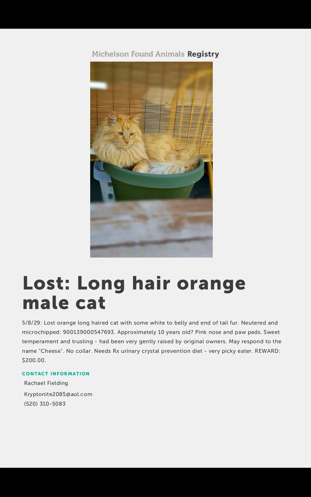 Lost cat in Tucson, AZ, 85711