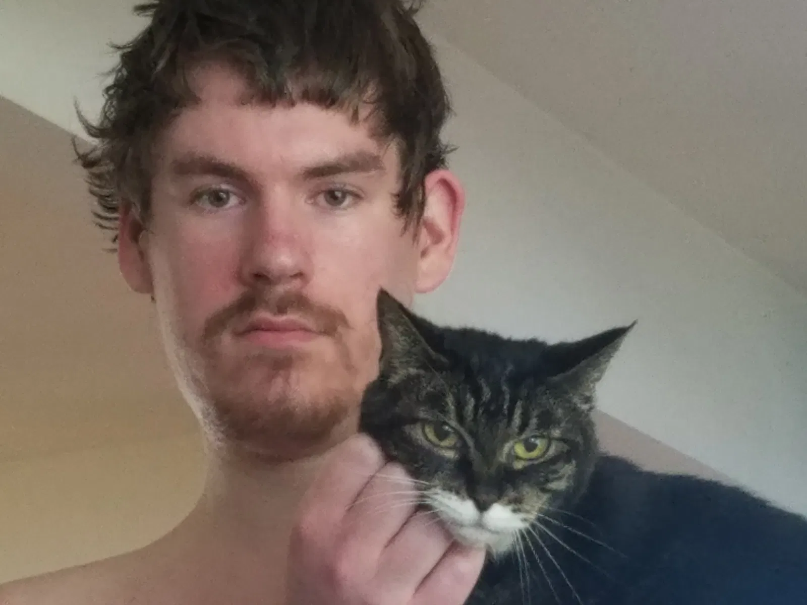 Lost cat in Seattle, WA, 98155