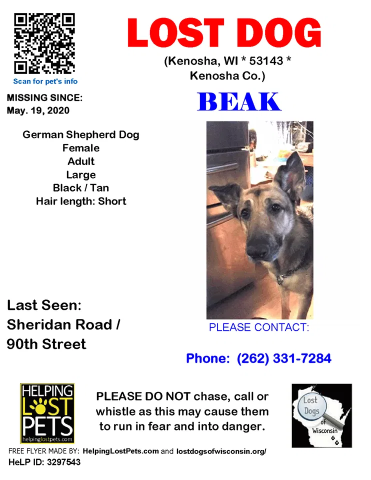 Lost dog in Kenosha, WI, 53143
