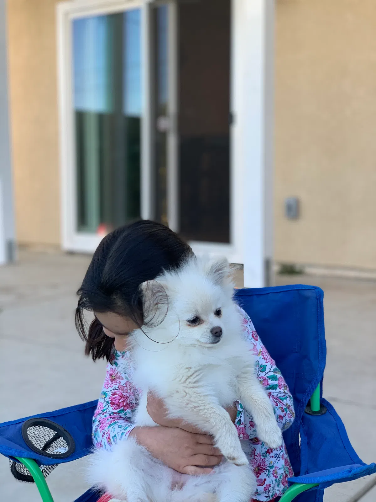 Lost dog in Turlock, CA, 95380
