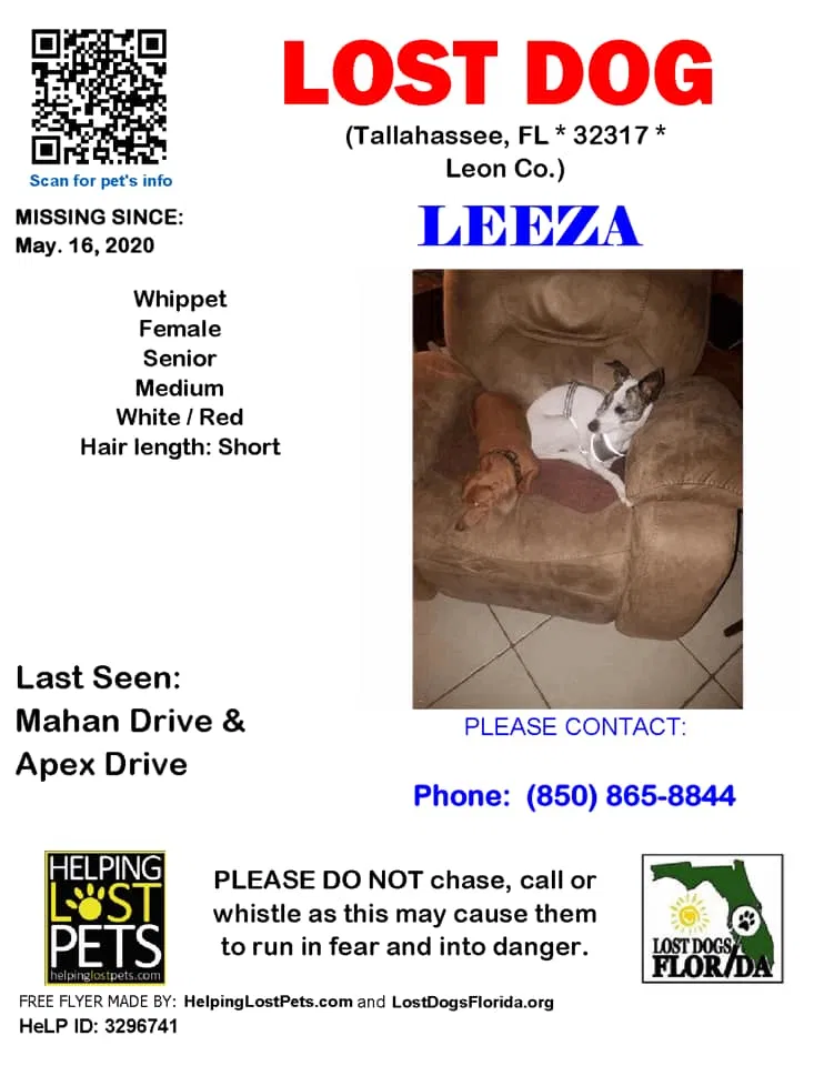 Lost dog in Tallahassee, FL, 32317