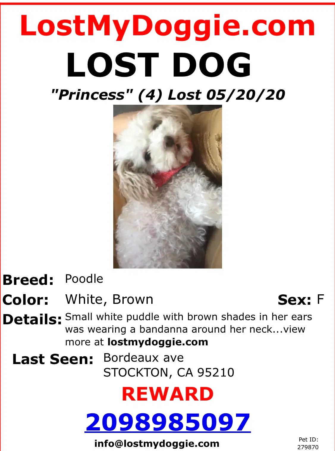 Lost dog in Stockton, CA, 95210