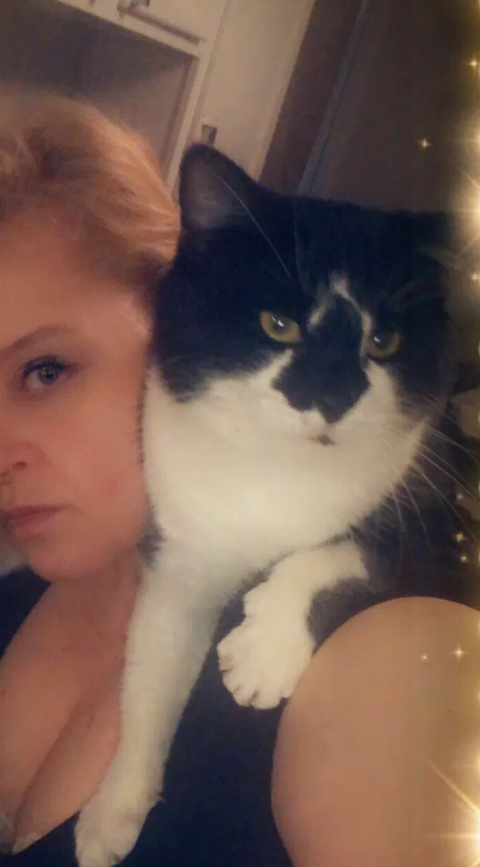 Lost cat in Kirklin, IN, 46050