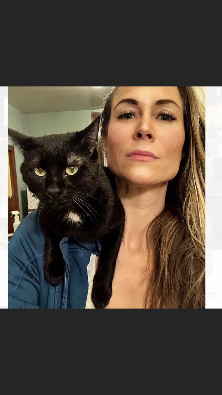 Lost cat in Minneapolis, MN, 55428