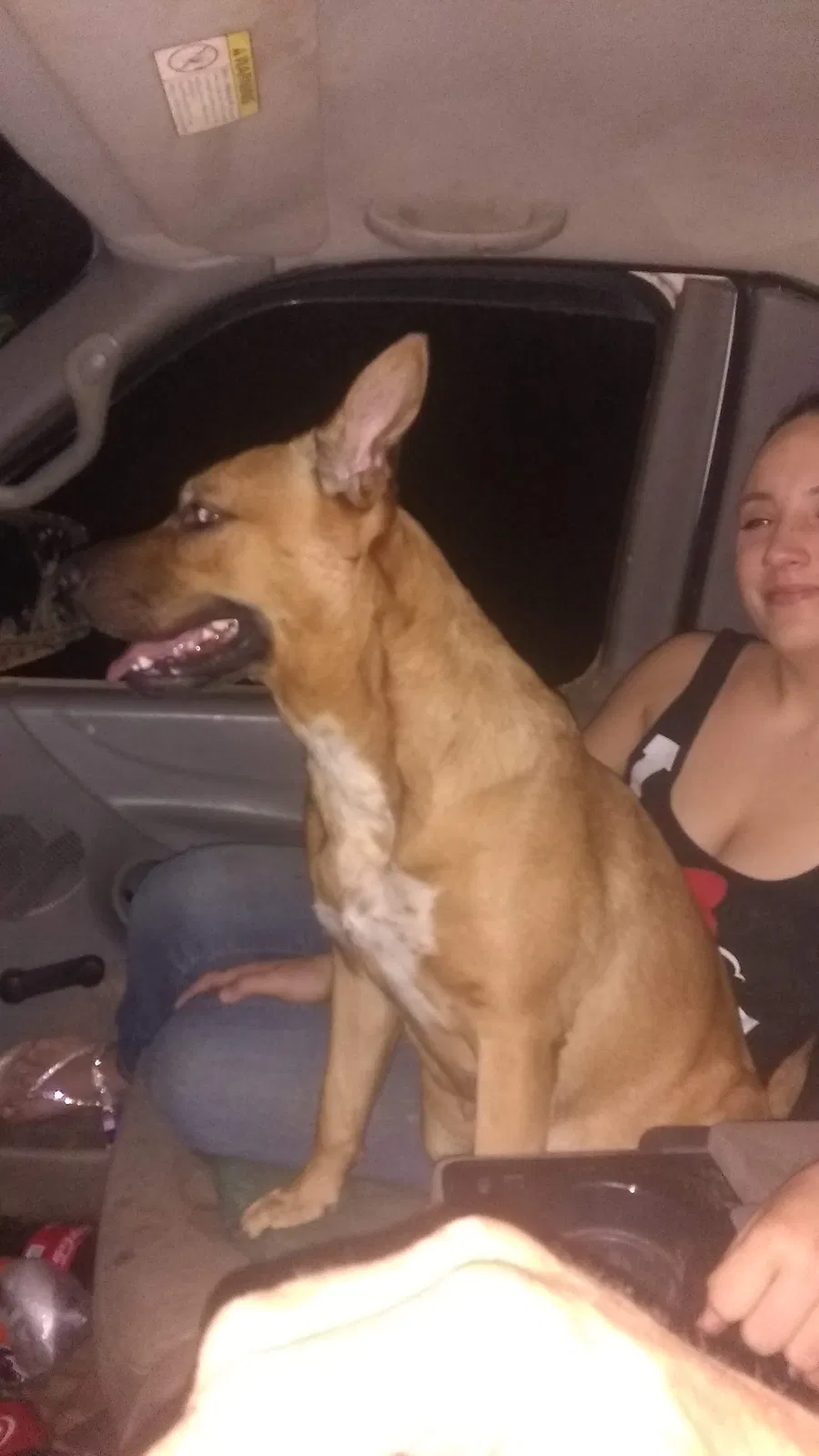 Lost dog in Chesnee, SC, 29323