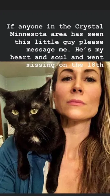 Lost cat in Minneapolis, MN, 55428