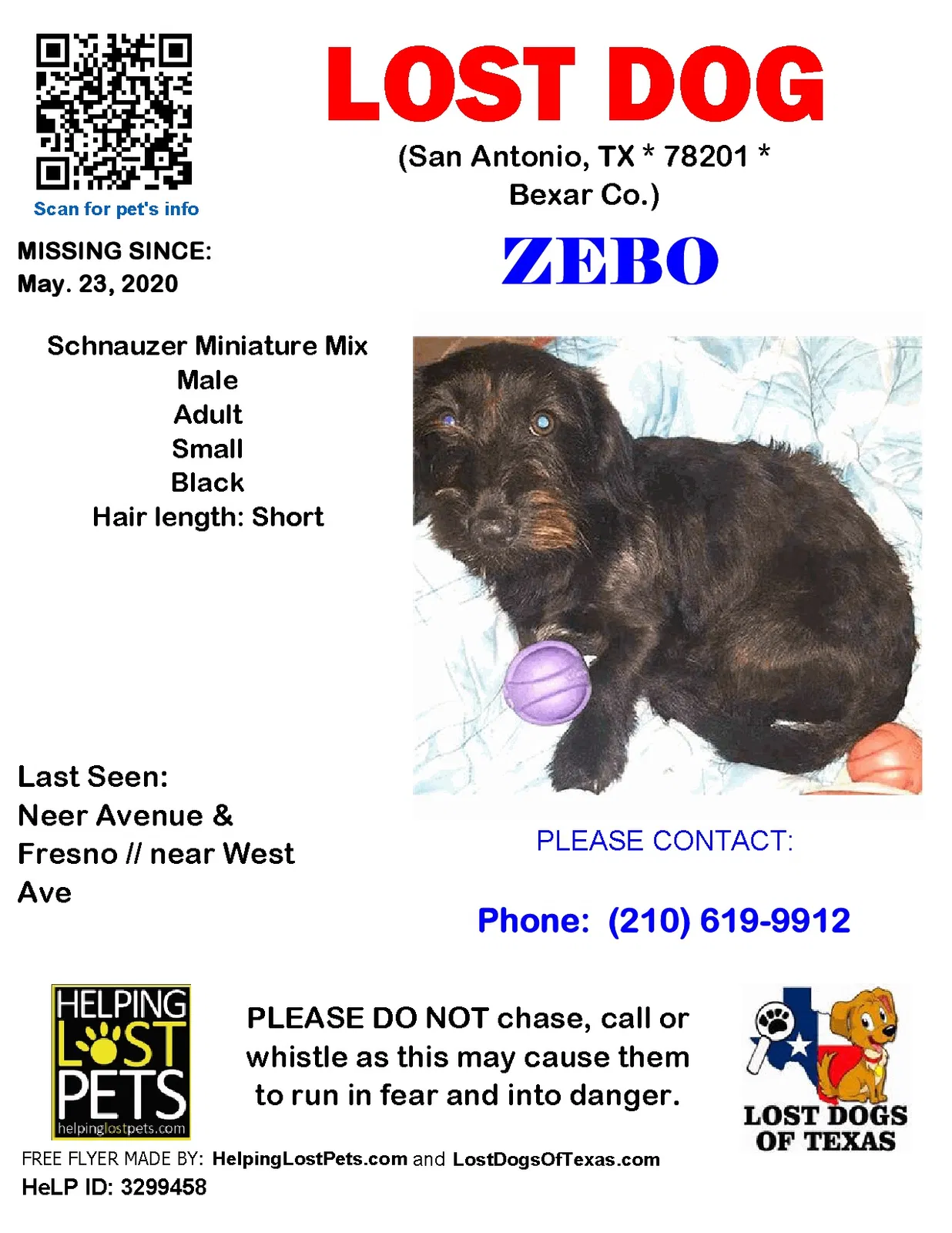 Lost dog in San Antonio, TX, 78201