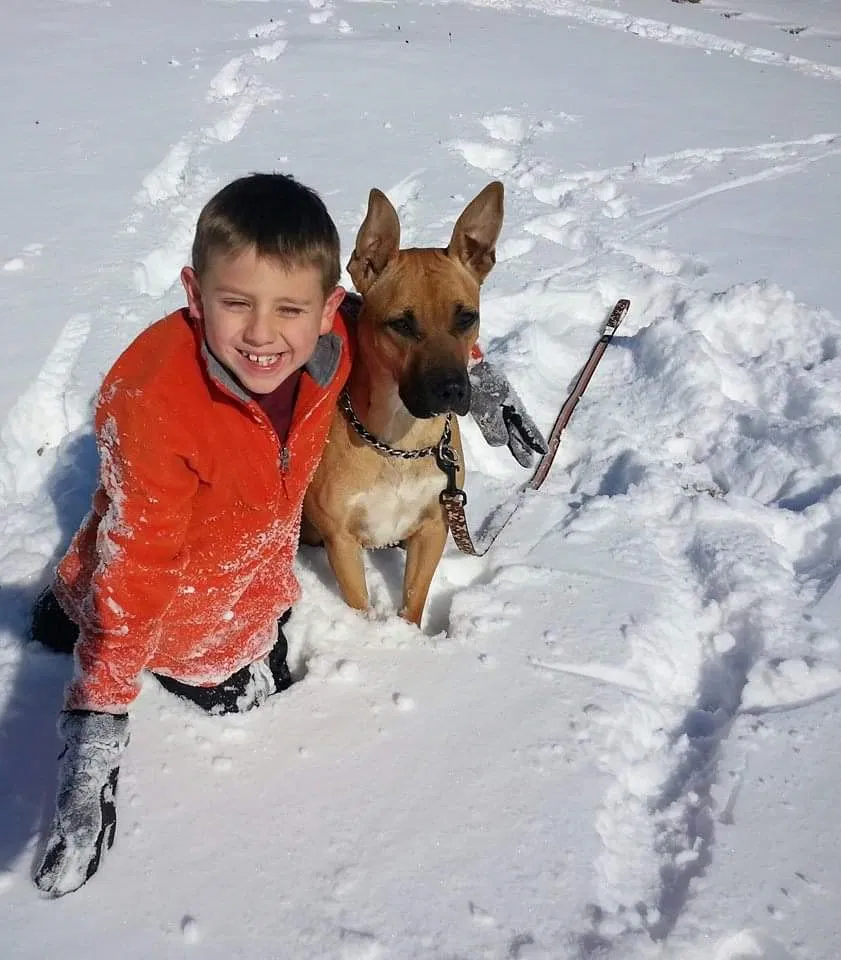 Lost dog in Fort Worth, TX, 76179