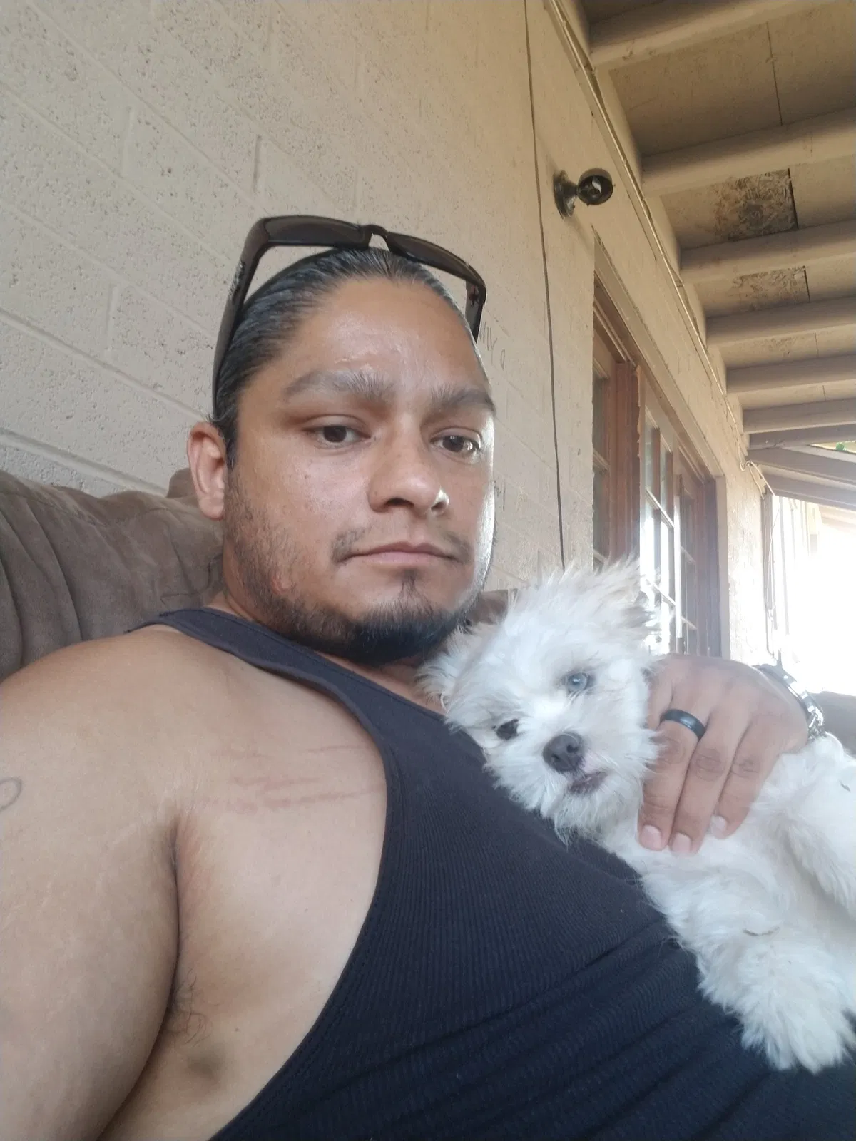 Lost dog in Glendale, AZ, 85301