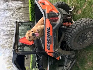 Lost dog in Burfordville, MO, 63739