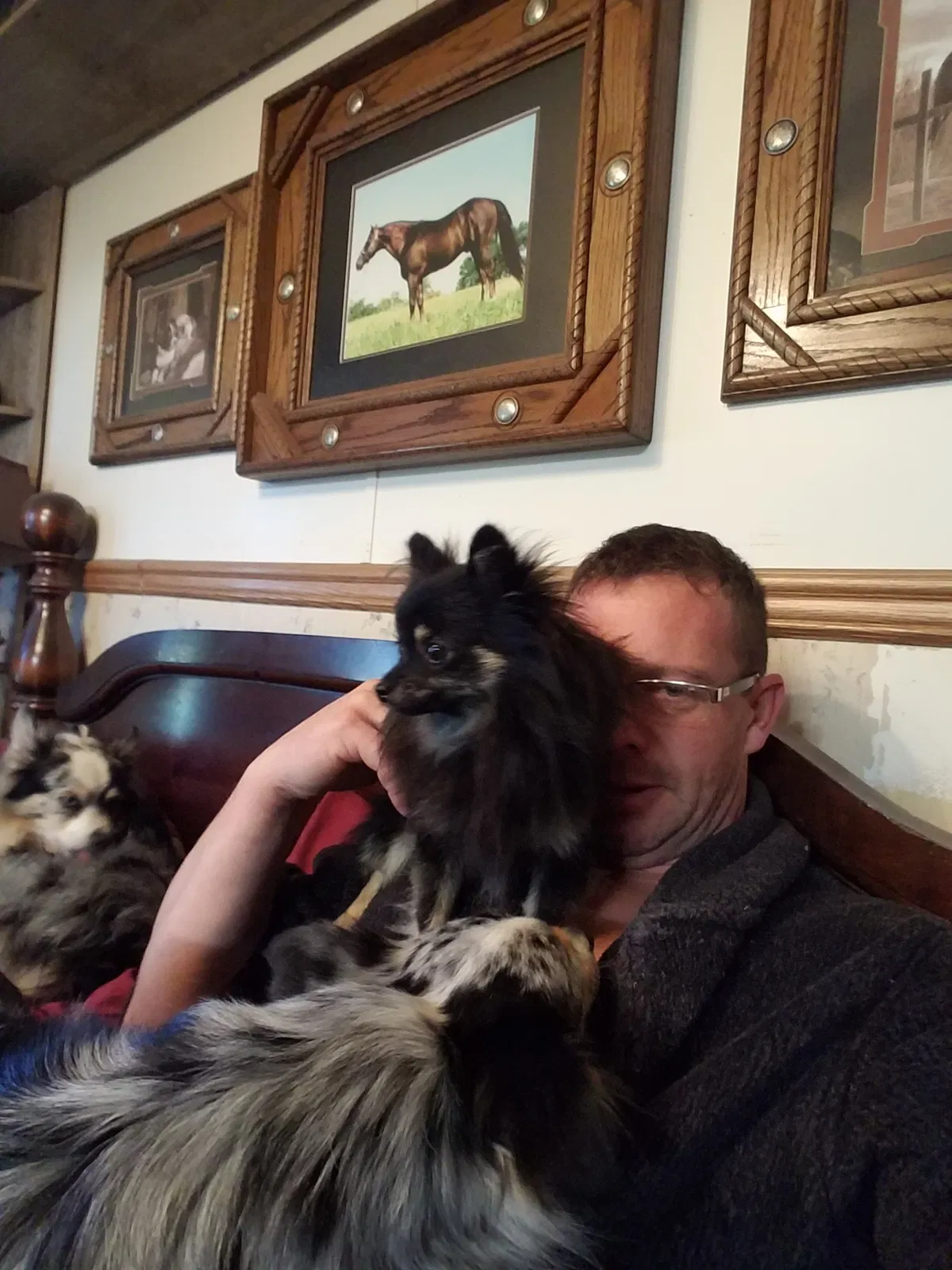 Lost dog in Wentworth, MO, 64873