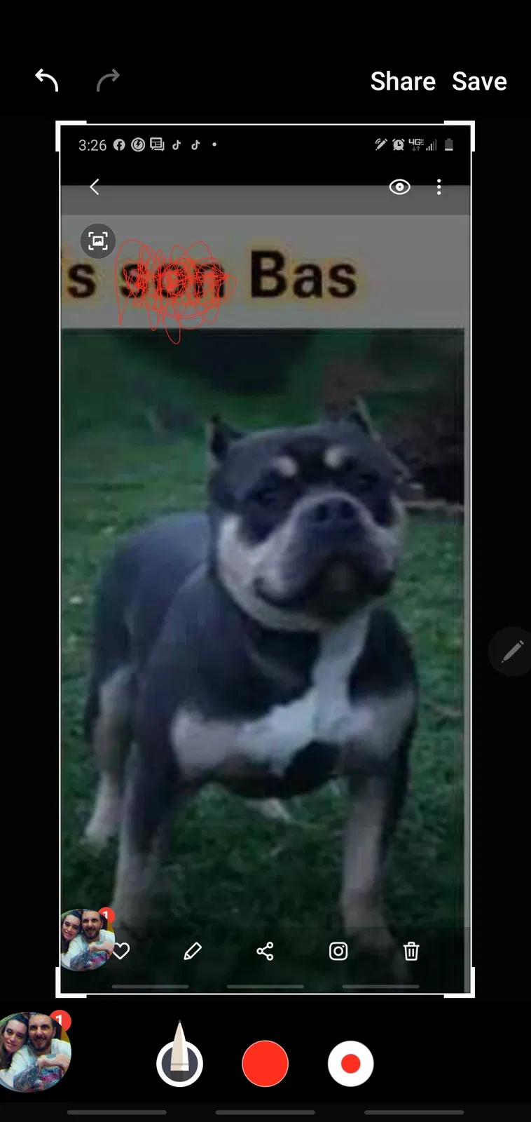 Lost dog in Evansville, IN, 47711