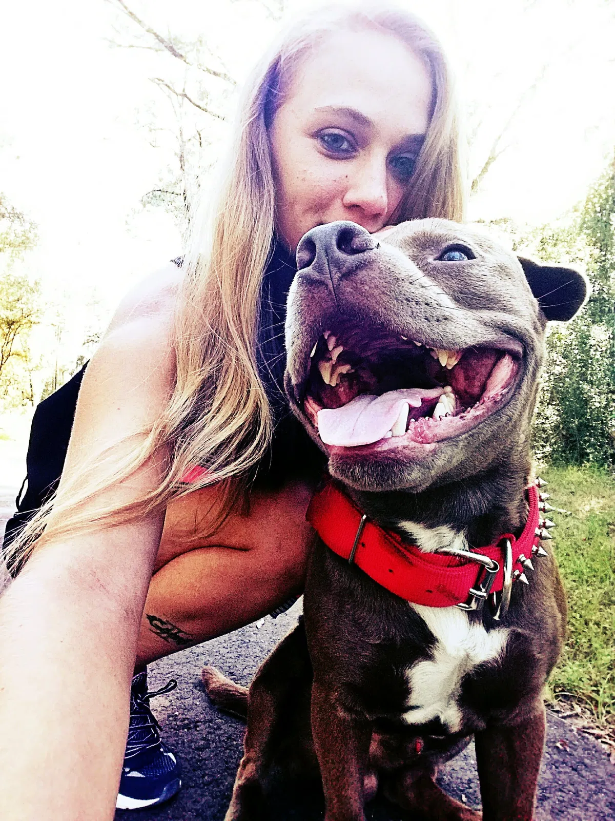 Lost dog in Crawfordville, FL, 32327