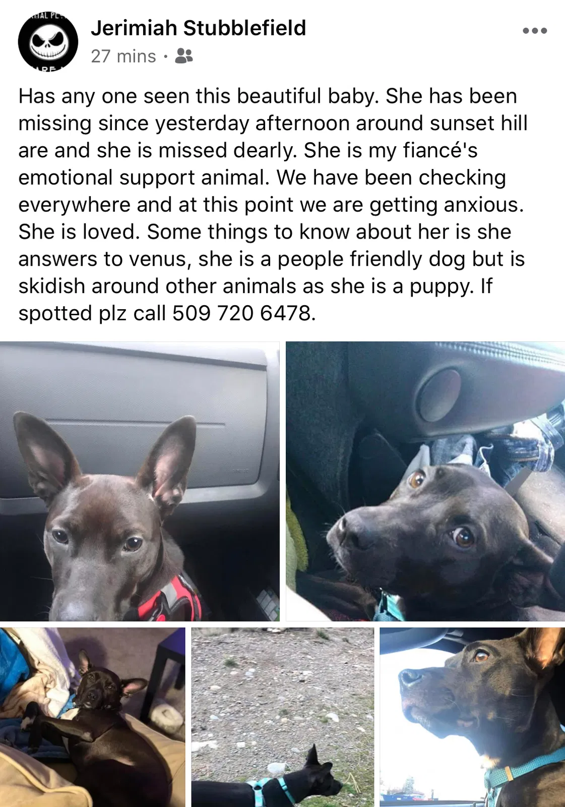 Lost dog in Spokane, WA, 99224