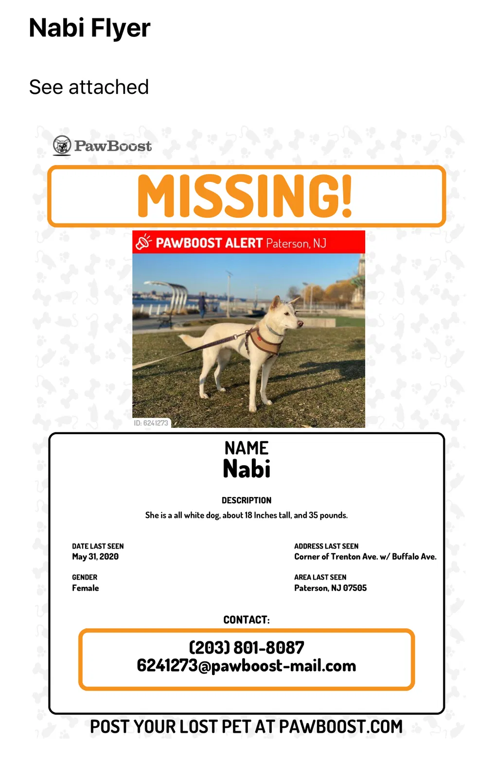 Lost dog in Paterson, NJ, 7503