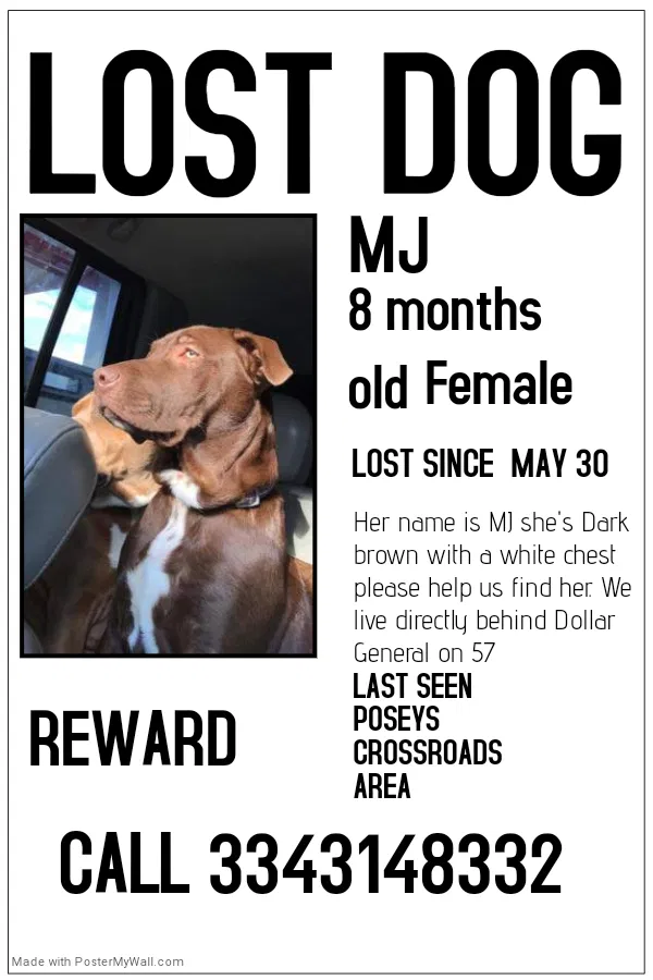 Lost dog in Prattville, AL, 36067
