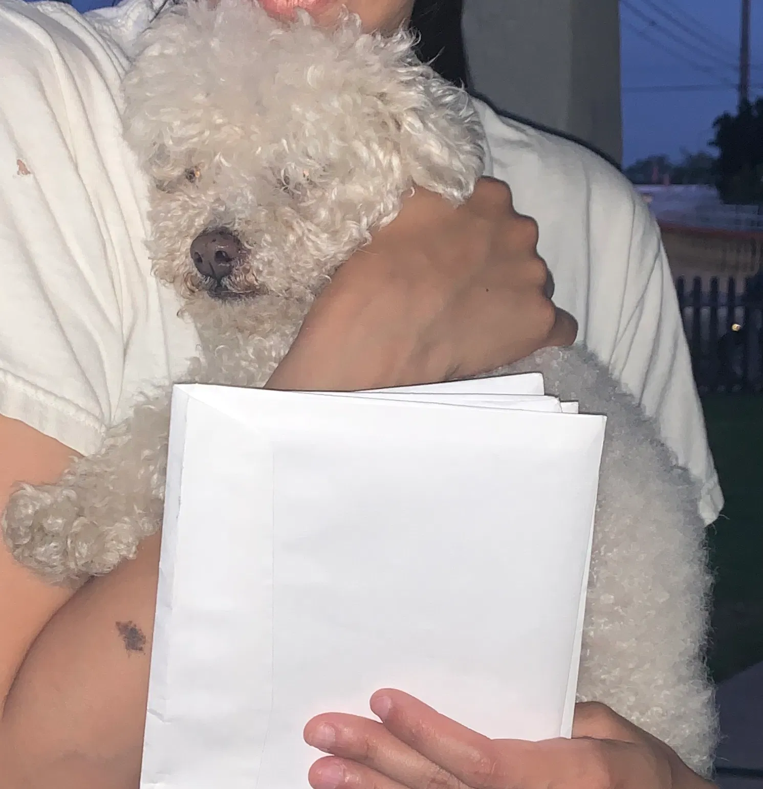 Lost dog in Sacramento, CA, 95838