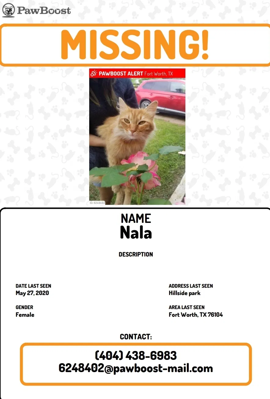 Lost cat in Fort Worth, TX, 76104