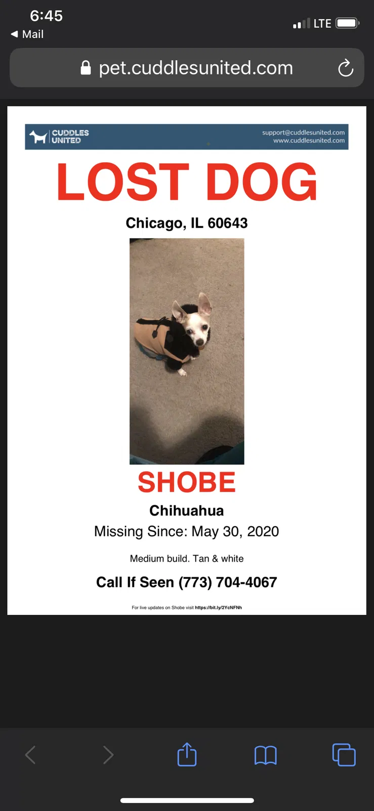 Lost dog in Chicago, IL, 60643