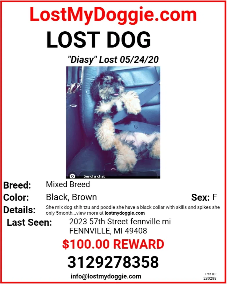 Lost dog in Fennville, MI, 49408