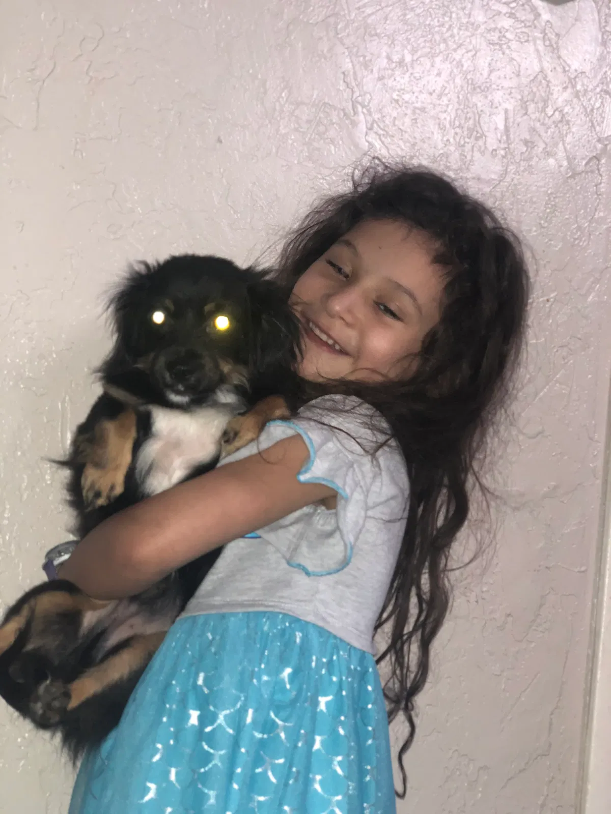 Lost dog in Hurst, TX, 76054