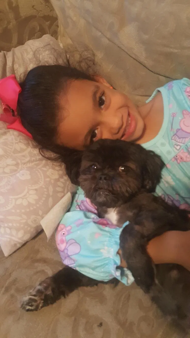 Lost dog in Fort Worth, TX, 76106