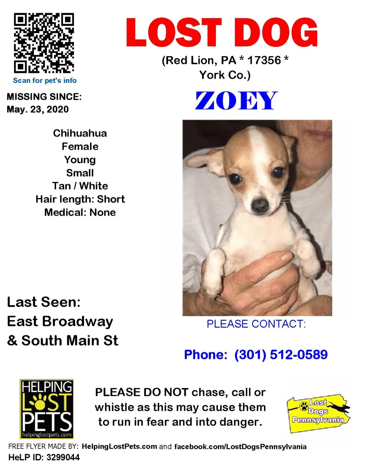 Lost dog in Red Lion, PA, 17356