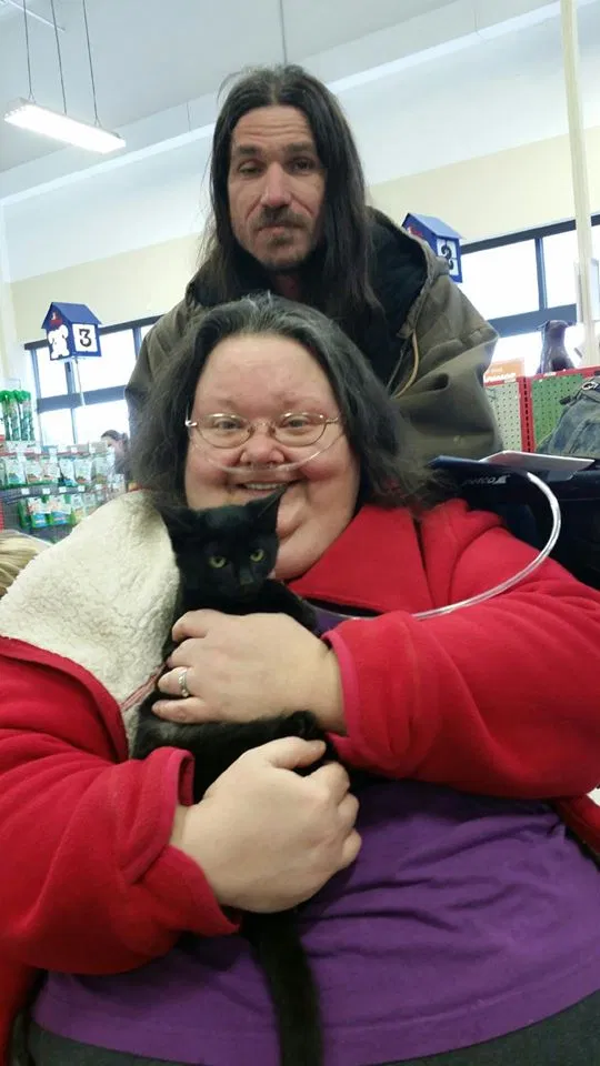 Lost cat in Cleveland, TN, 37311