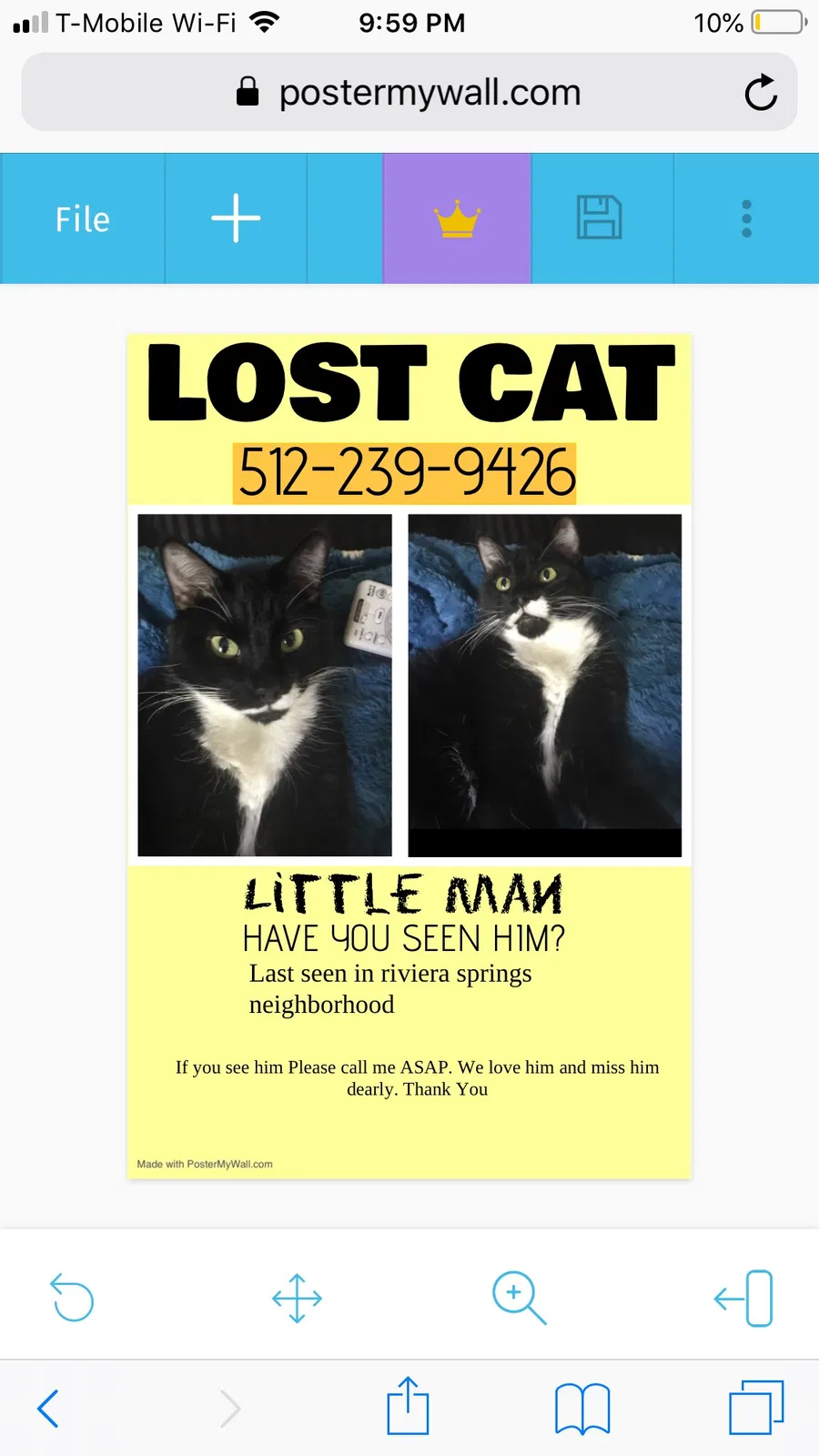 Lost cat in Cedar Park, TX, 78613