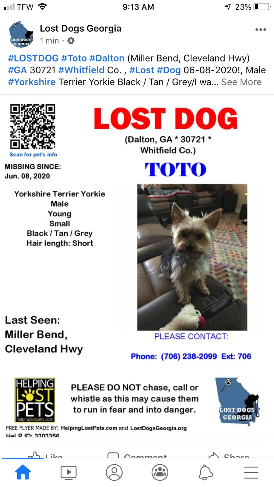 Lost dog in Dalton, GA, 30721
