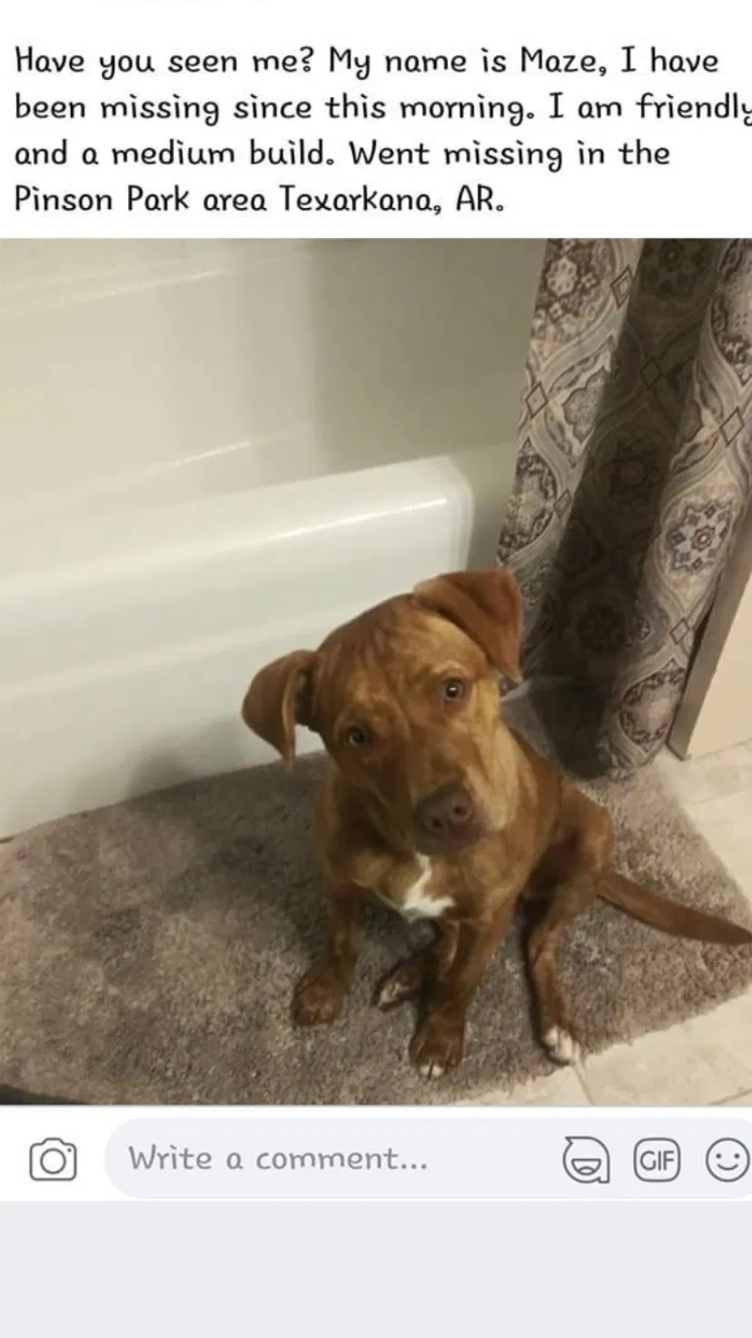 Lost dog in Texarkana, AR, 71854