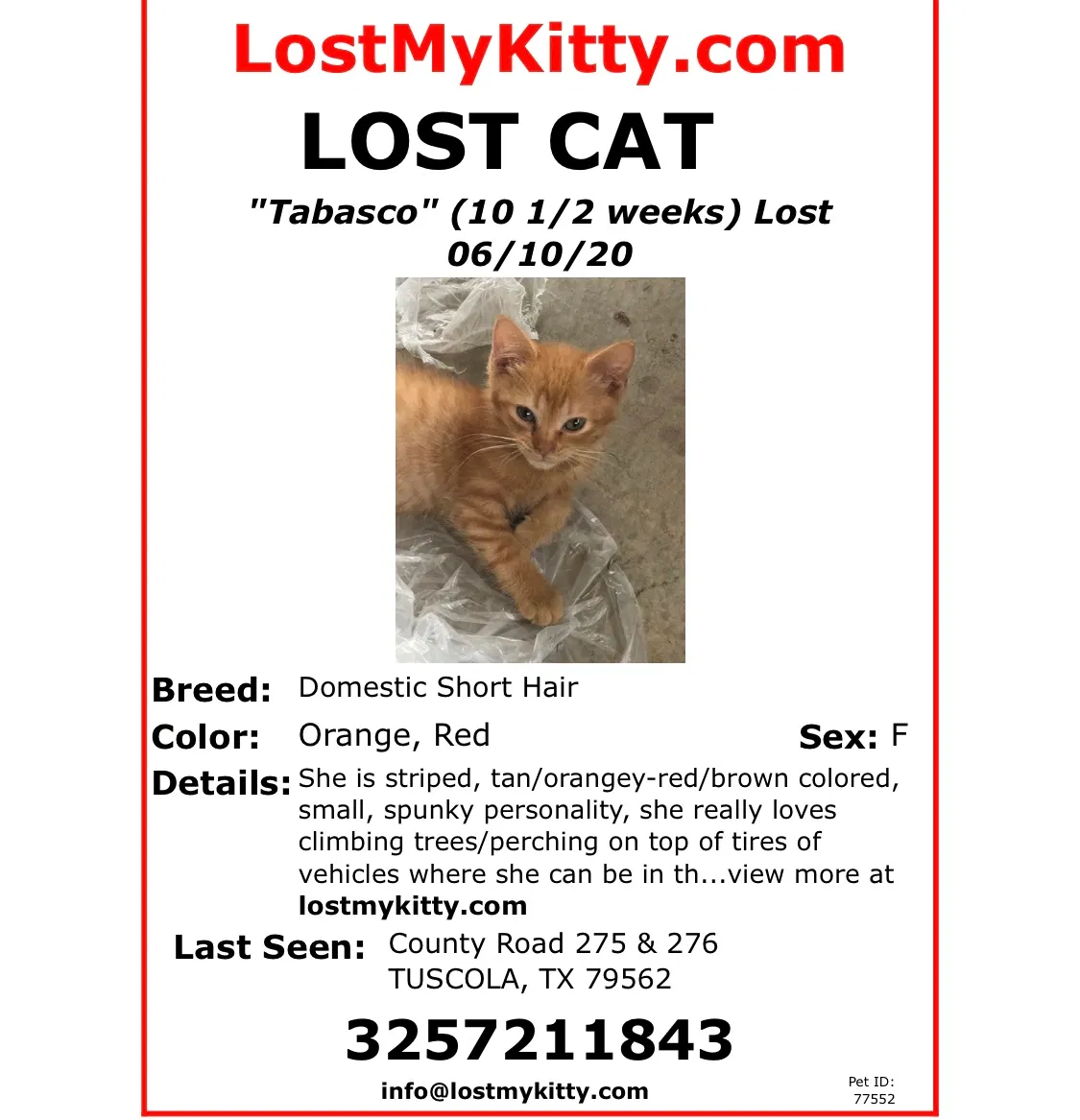 Lost cat in Tuscola, TX, 79562