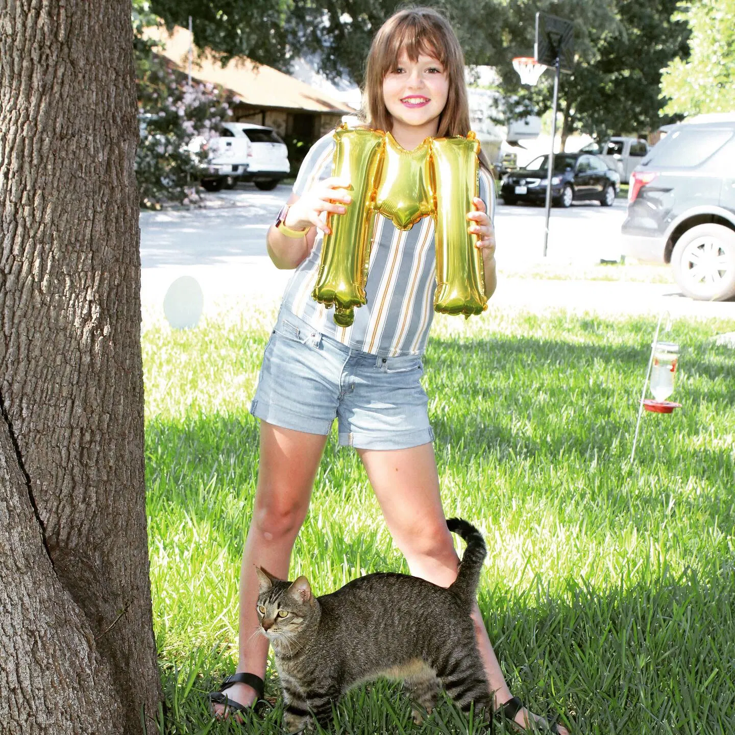 Lost cat in New Braunfels, TX, 78130