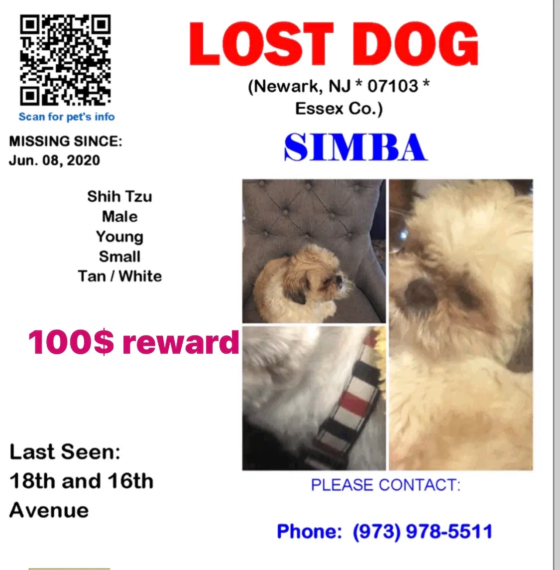 Lost dog in Newark, NJ, 7103