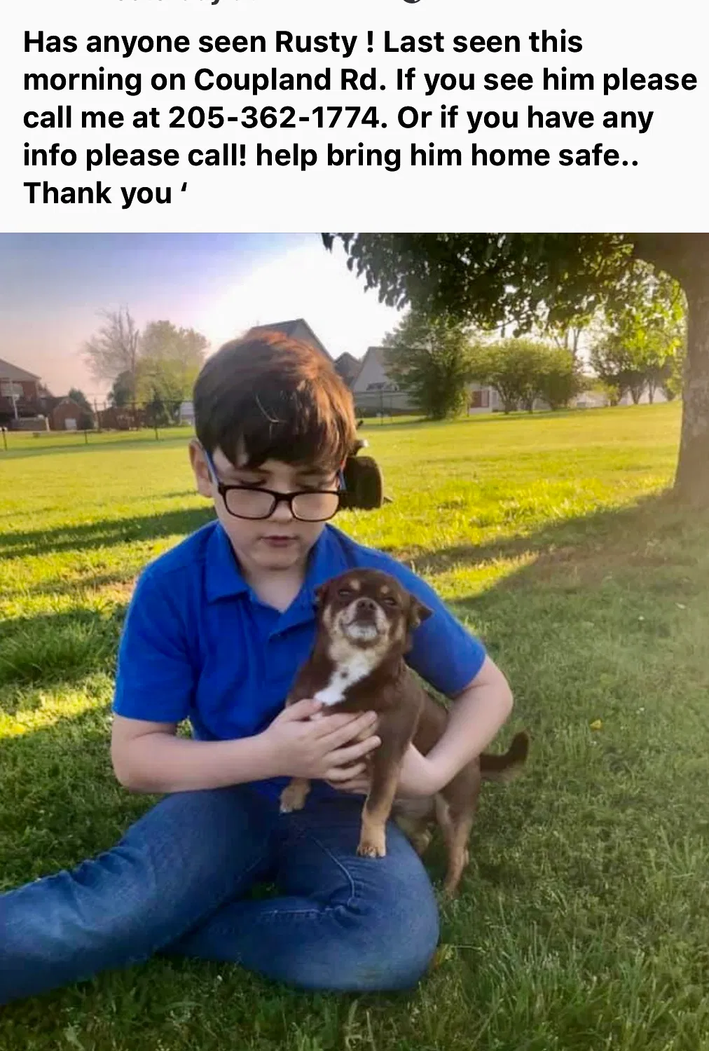 Lost dog in Odenville, AL, 35120