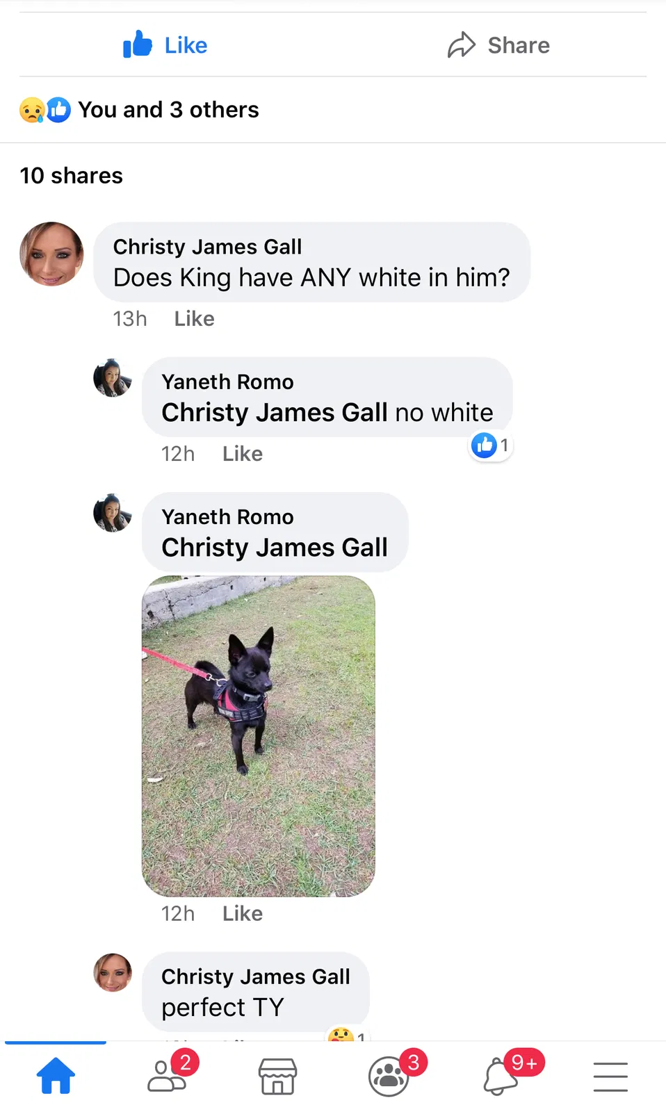 Lost dog in Van Nuys, CA, 91406