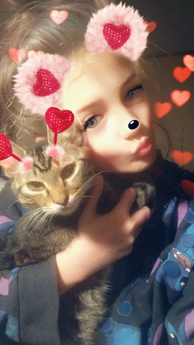Lost cat in Chesnee, SC, 29323